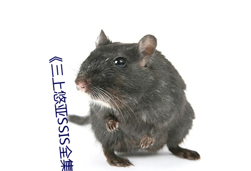 《三上(上)悠亚SSIS全集在线播放》高(高)清不卡(卡)在(在)线观看(看)