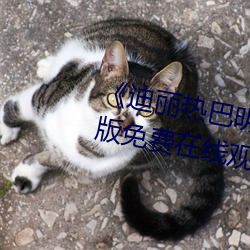 《迪丽热巴明星AI人脸造梦》完整版免费在线观看 （诊疗）