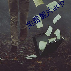 免(miǎn)费黄(huáng)片aop