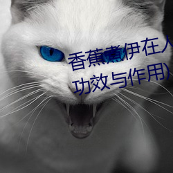 香蕉煮伊在人線2022(香蕉煮熟吃功效與作用)