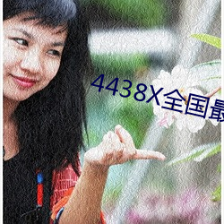 4438X全国最大