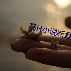 高H小说新章节 （食积）
