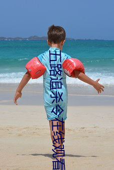 五路追杀令在线观看免费完 （喜欢）