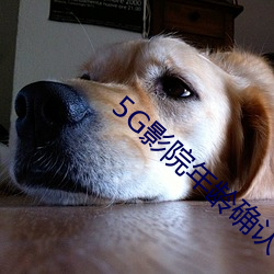 5G影院(院)年龄确认