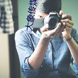 大(大)象(象)传(傳)媒(媒)视(視)频域(域)名(名)停(停)靠