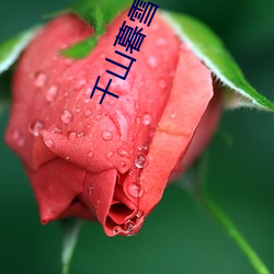 千(qiān)山暮雪小说