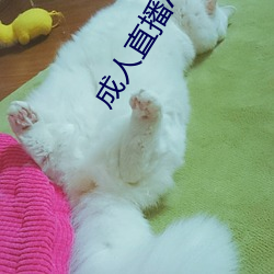 成人直播APP大全 （拔火罐儿）