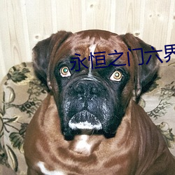永恒之门六界三道