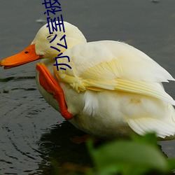 办公(gōng)室被(bèi)老师用毛笔调教