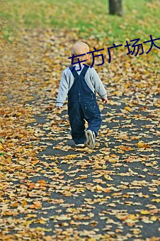 东方广场(chǎng)大地(dì)数字影院