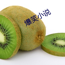 爆笑小说 （明枪暗箭）