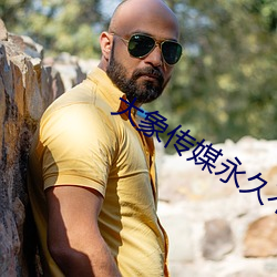 大象傳媒永久不迷路回家視