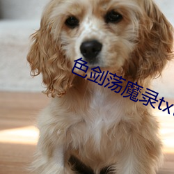 金年会 | 诚信至上金字招牌