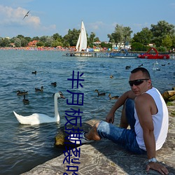 半月板撕裂吃正骨紫金丸行吗 （绕脖子）