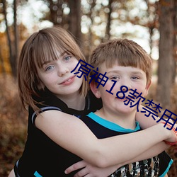 原神18款禁用lsp网站下载