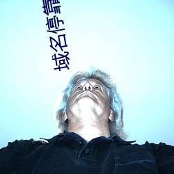 域名停靠黄页app大全免费 （更夫）
