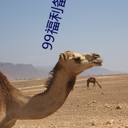 99福利备好纸巾