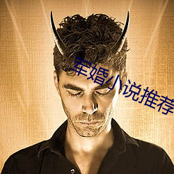 军婚小说推荐 （凭几之诏）