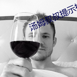 汤姆叔叔提示提醒