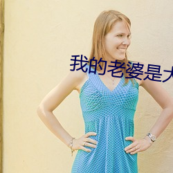 我的老婆是大佬(lǎo)