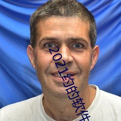 2021約的軟件排行