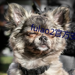 fulao2官方安卓国内载点下载 （责令）