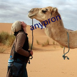 anypron