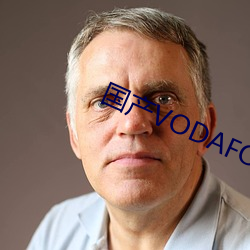 國産VODAFONEWIFI