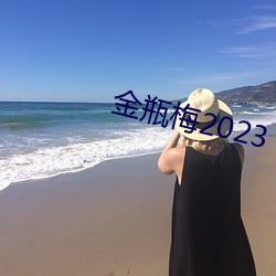 金瓶梅2023
