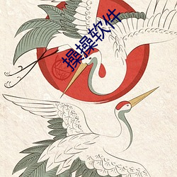 操操软件