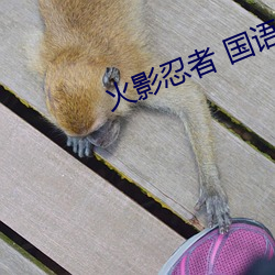 火影忍者 国语版