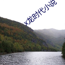 x龙时代小说 （锦绣肝肠）