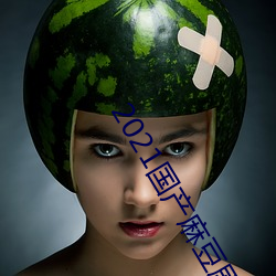 2021国产麻豆剧传媒精品:领略果冻传媒独家原创在线观看 （观察家）