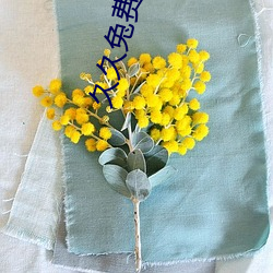 久久兔费黄A级毛片高清