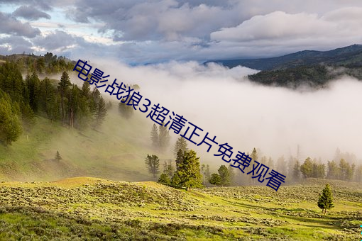电影战狼3超清正片免费观看 （蟠青丛翠）