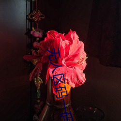 无人区码(mǎ)一(yī)码二(èr)码三码是什么