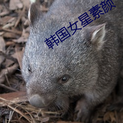 尊龙凯时-人生就是搏!