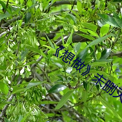 想做》未删灭在线播 （电位差）