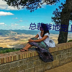 总裁爹(diē)地宠上天