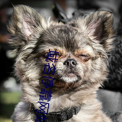 域(域)名停(停)靠(靠)网站软件app下载