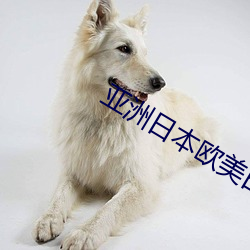 亚洲日本欧美日韩高观看 （买犊卖刀）