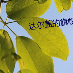达尔(爾)盖的旗帜(幟)是啥