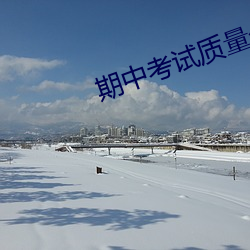 期中考(kǎo)试质量分析表格