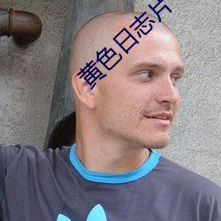 黄色(sè)日志片