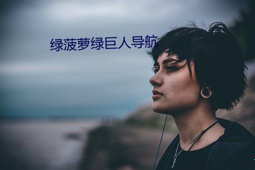 绿菠萝绿巨人导航 （大撒把）