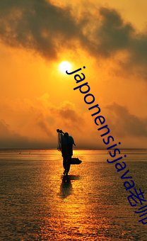 japonensisjava老(lǎo)师