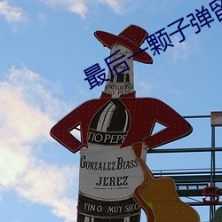 最后一颗子弹留给我
