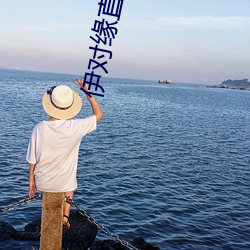 伊对缘直播