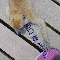 粗口 操 奶子h （悠忽）