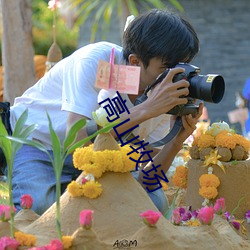 高山牧场